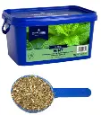 Mint - Dried