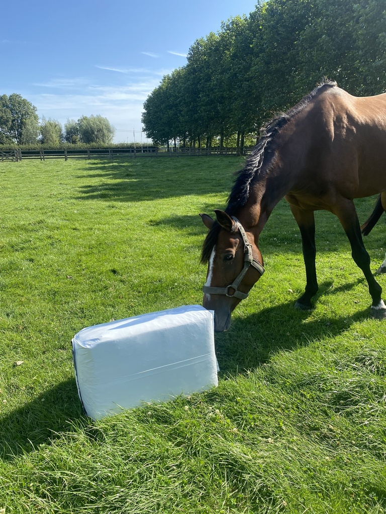 FOURRALUX ORIGINAL - Haylage