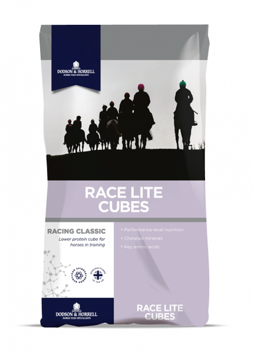 [DH-1RLC] Race Lite Cubes