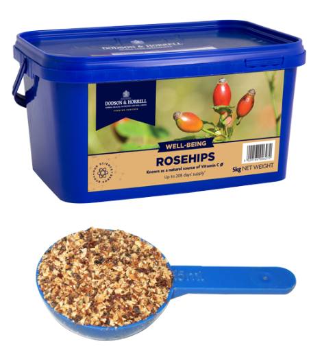 Baies d'églantier - Cynorrhodon - Séché - Rosehips