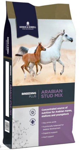 [DH-1ASM] Arabian Stud Mix